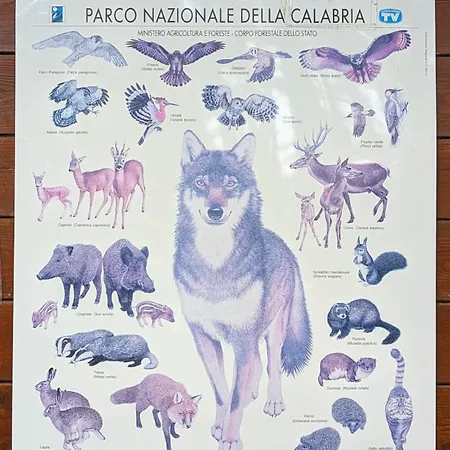 Casa Di Federico & Sofia San Giovanni in Fiore