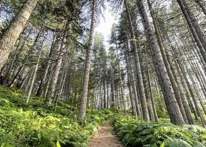 Apartment Casa Di Federico & Sofia San Giovanni in Fiore