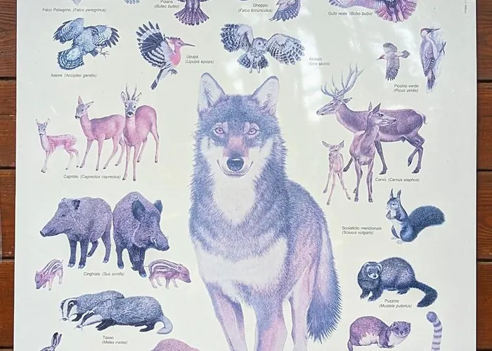 Casa Di Federico & Sofia San Giovanni in Fiore